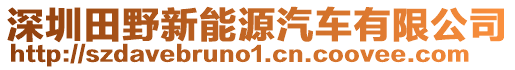 深圳田野新能源汽車有限公司