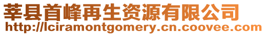 莘縣首峰再生資源有限公司