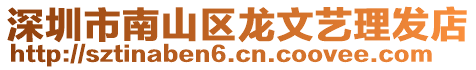 深圳市南山區(qū)龍文藝?yán)戆l(fā)店