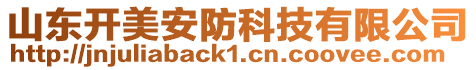 山東開美安防科技有限公司