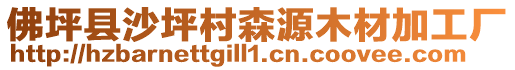 佛坪縣沙坪村森源木材加工廠