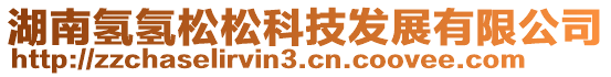 湖南氫氫松松科技發(fā)展有限公司