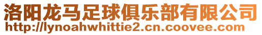 洛陽(yáng)龍馬足球俱樂(lè)部有限公司