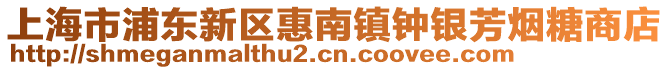 上海市浦東新區惠南鎮鐘銀芳煙糖商店
