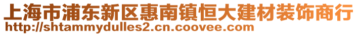 上海市浦東新區惠南鎮恒大建材裝飾商行