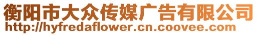 衡陽(yáng)市大眾傳媒廣告有限公司