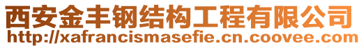 西安金豐鋼結(jié)構(gòu)工程有限公司