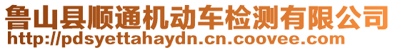 魯山縣順通機動車檢測有限公司