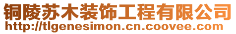 銅陵蘇木裝飾工程有限公司
