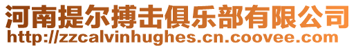 河南提爾搏擊俱樂部有限公司