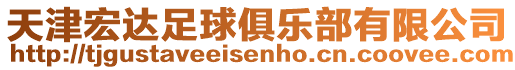 天津宏達足球俱樂部有限公司