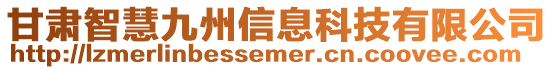 甘肅智慧九州信息科技有限公司