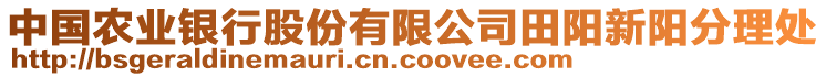 中國農(nóng)業(yè)銀行股份有限公司田陽新陽分理處