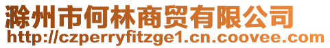 滁州市何林商貿有限公司