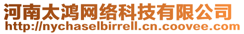 河南太鴻網(wǎng)絡(luò)科技有限公司