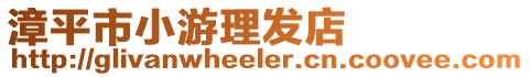 漳平市小游理發(fā)店