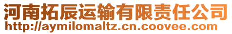 河南拓辰運輸有限責任公司