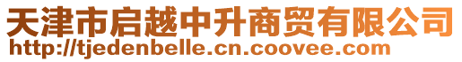 天津市啟越中升商貿(mào)有限公司