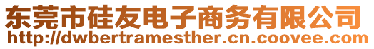 東莞市硅友電子商務(wù)有限公司