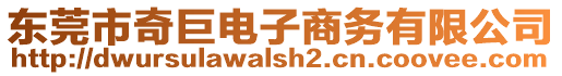 東莞市奇巨電子商務(wù)有限公司