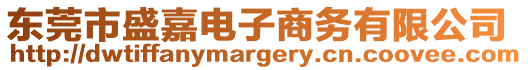 東莞市盛嘉電子商務(wù)有限公司