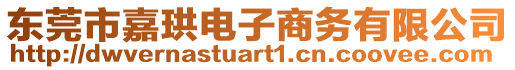 東莞市嘉珙電子商務(wù)有限公司