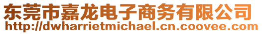 東莞市嘉龍電子商務(wù)有限公司