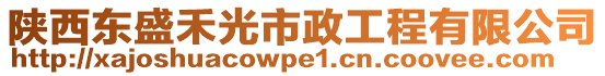 陜西東盛禾光市政工程有限公司