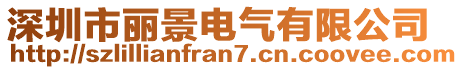 深圳市麗景電氣有限公司