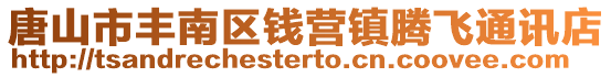 唐山市丰南区钱营镇腾飞通讯店