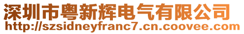 深圳市粵新輝電氣有限公司