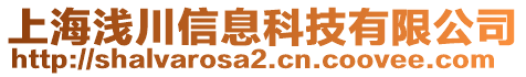 上海淺川信息科技有限公司