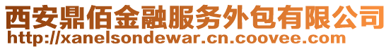 西安鼎佰金融服務(wù)外包有限公司