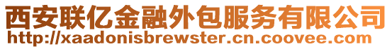 西安聯(lián)億金融外包服務(wù)有限公司