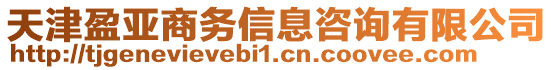 天津盈亞商務(wù)信息咨詢有限公司