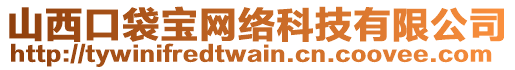 山西口袋寶網(wǎng)絡(luò)科技有限公司