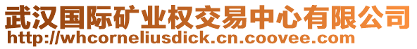 武漢國際礦業(yè)權(quán)交易中心有限公司