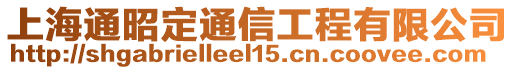 上海通昭定通信工程有限公司