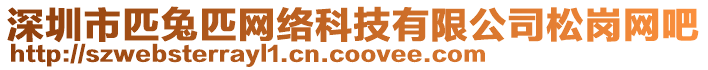 深圳市匹兔匹网络科技有限公司松岗网吧