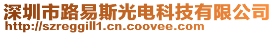 深圳市路易斯光電科技有限公司