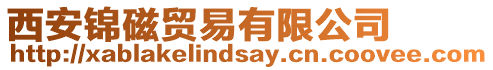 西安錦磁貿(mào)易有限公司