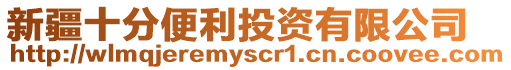 新疆十分便利投資有限公司