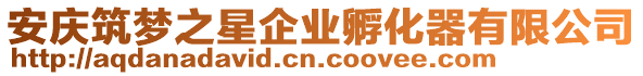 安慶筑夢之星企業孵化器有限公司