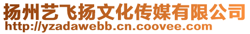 揚(yáng)州藝飛揚(yáng)文化傳媒有限公司