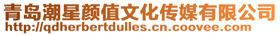 青島潮星顏值文化傳媒有限公司