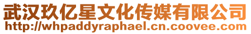 武漢玖億星文化傳媒有限公司