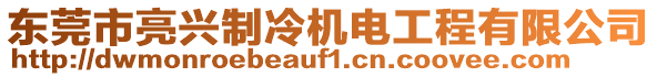 東莞市亮興制冷機電工程有限公司