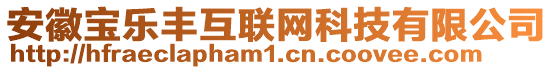 安徽寶樂豐互聯(lián)網(wǎng)科技有限公司