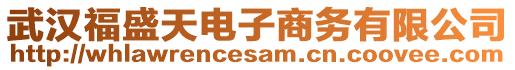 武漢福盛天電子商務有限公司