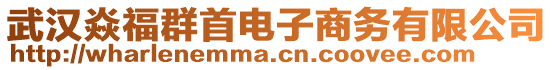 武漢焱福群首電子商務(wù)有限公司